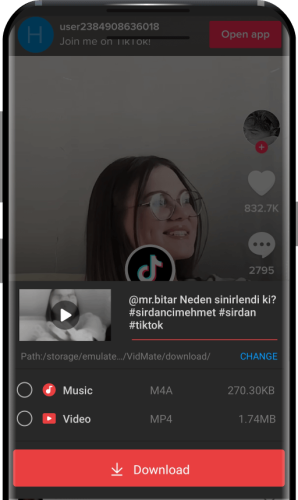 Chromecast Support